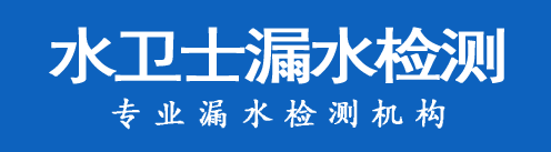 泰山区暗管漏水检测